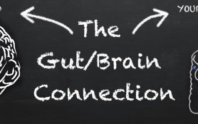The Gut-Brain Connection: How To Feed Your Brain