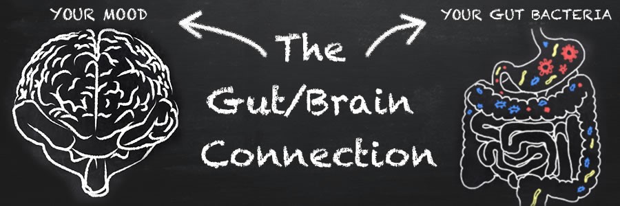 The Gut-Brain Connection: How To Feed Your Brain